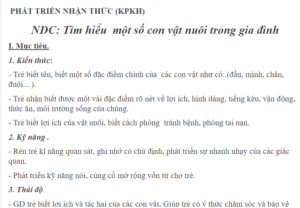 PHÁT TRIỂN NHẬN THỨC (KPKH) NDC: Tìm hiểu  một số con vật nuôi trong gia đình