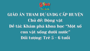 GIÁO ÁN THAM DỰ GVDG CẤP HUYỆN Chủ đề: Động vật Đề tài: Khám phá khoa học “Một số con vật sống dưới nước” Đối tượng: Trẻ 5 – 6 tuổi