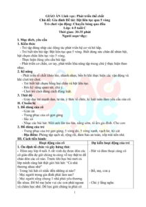 Giáo án lĩnh vực phát triển thể chất chủ đề gia đình bật liên tục qua 5 vòng – lớp 4 -5 tuổi